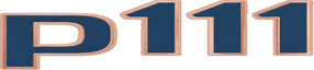 p111